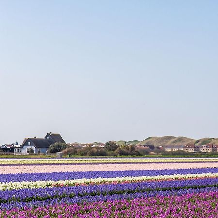 Vakantiehuis Zilt - Julianadorp Aan Zee Eksteriør billede